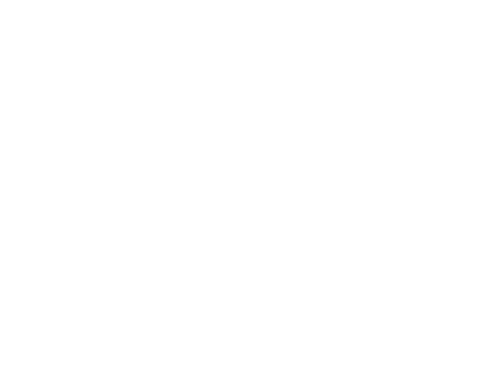 DLCG 30.0 TON (Special Type)