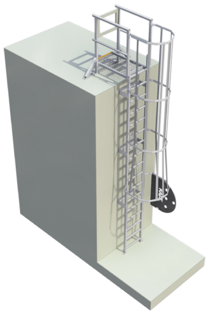 Caged Ladder
